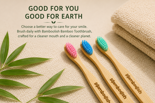 Kids Coloured Brush Pack of 3